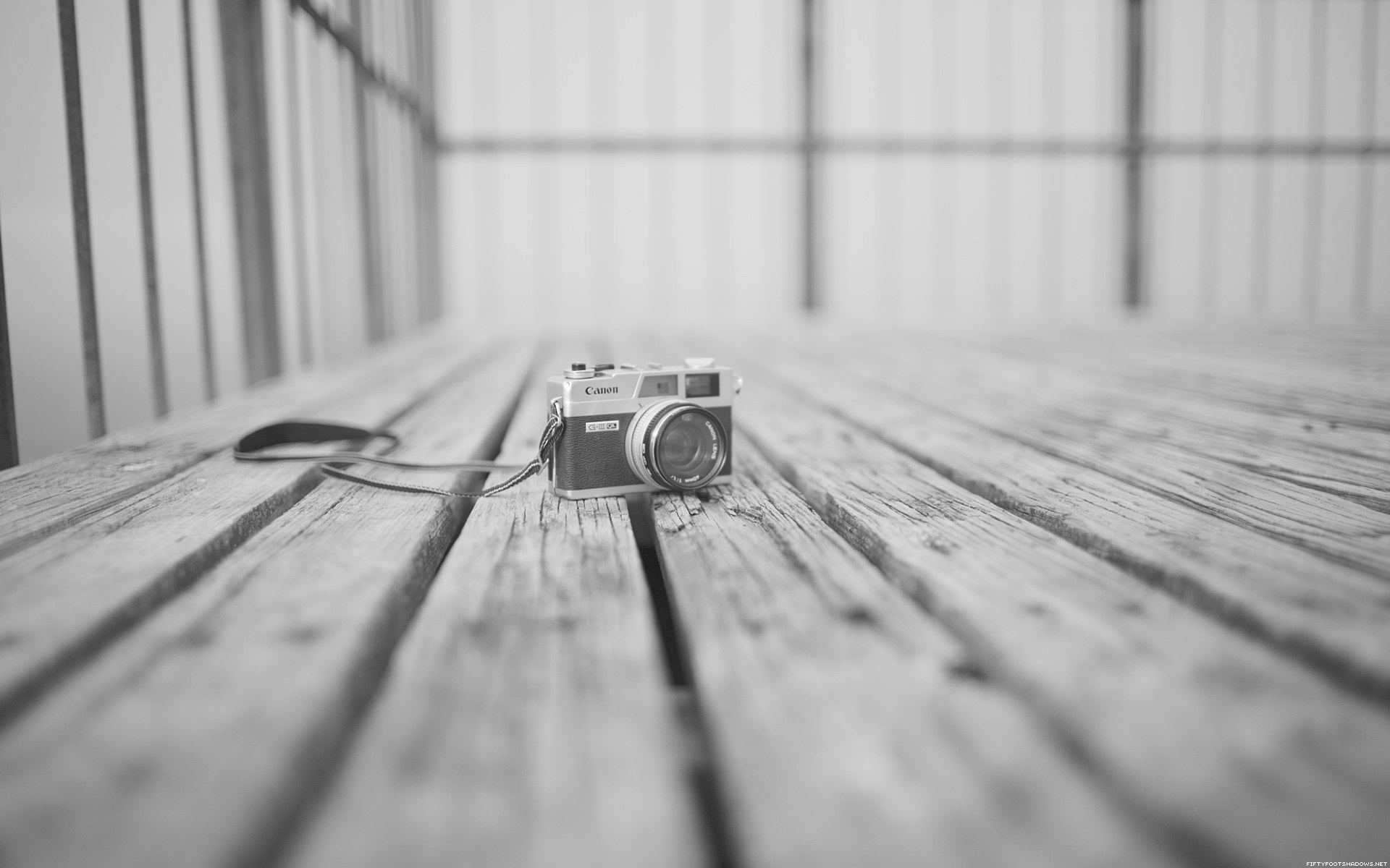 banner5